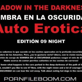 [Voyeurismopublicsex.com] The Galician Sombra Noche 09 (2017, Voyeur, Car Sex, CamRip)